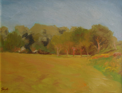 Evening Glow, oil on canvas, 11x14  inches, collection Martha and William Christine