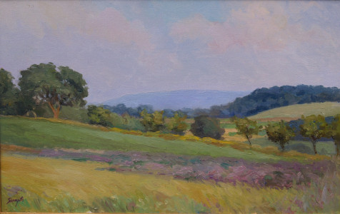 Summer Fields, Rodale Institute, oil on  canvas, 14x20 inches